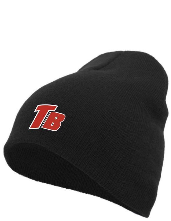 Basic Knit Beanie  (Total Travel Baseball)